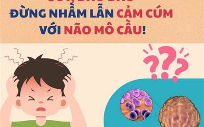 Cúm mùa và não mô cầu đều có thể gây sốt cao đột ngột: Bác sĩ Trương Hữu Khanh chỉ cách phân biệt 2 bệnh