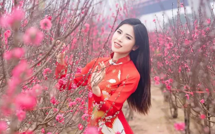Chính thức "chốt" nghỉ 7 ngày Tết âm lịch và 4 ngày lễ Quốc khánh năm 2027