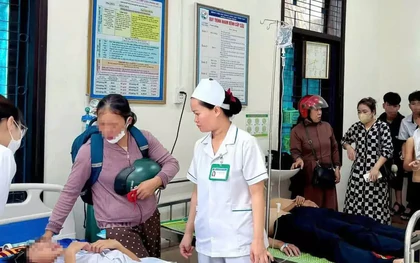 27 học sinh nhập viện do ong tấn công