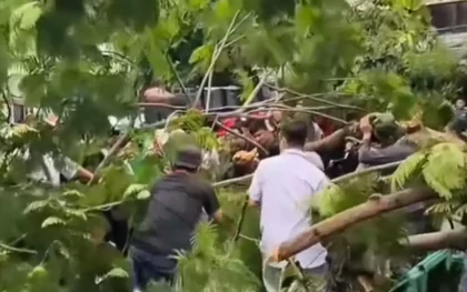 Cây phượng bật gốc đè chết một người đàn ông ở TPHCM