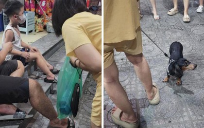 Chủ dắt chó xuống sân dạo nhưng không rọ mõm khiến 1 bé trai bị cắn phải đi tiêm phòng trong đêm