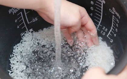 Lời khuyên đến những ai hay vo gạo trong ruột nồi cơm điện