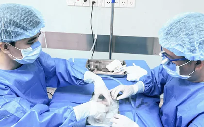 Kỷ lục mới về bảo quản thận ghép xuyên Việt