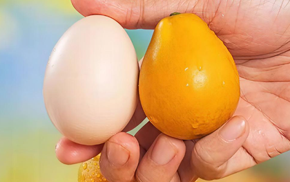 Đắt gấp 5 lần sầu riêng, láng giềng Việt Nam sở hữu báu vật nông sản được mệnh danh ‘Hermès trái cây’: Giá hơn 750.000 đồng/kg, trồng ít nhất 2 năm mới được thu hoạch