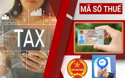 Nóng: Thuế Hà Nội công bố 3 kênh hỗ trợ doanh nghiệp giải thể, khôi phục và đóng mã số thuế