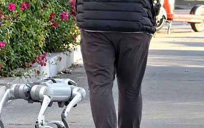 Việc nhẹ lương cao: 1 công ty Mỹ tuyển người dắt chó robot đi dạo, lương hơn 500.000 đồng/giờ