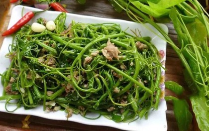 Loại rau dại có tên "bốc mùi" nhưng là vị thuốc hỗ trợ tiêu hóa và giải độc