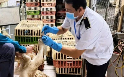 Kiểm tra chiếc xe màu trắng từ Đồng Nai vào TP.HCM lúc rạng sáng, phát hiện điều bất thường bên trong