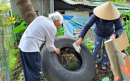 Đà Nẵng: Số ca mắc sốt xuất huyết tăng 2,4 lần so với cùng kỳ