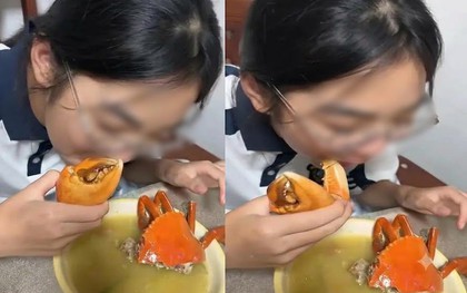 Bức ảnh cô bé ăn cua bỗng thổi bùng tranh cãi: Tình yêu thương bị xuyên tạc có thể méo mó đến mức này!