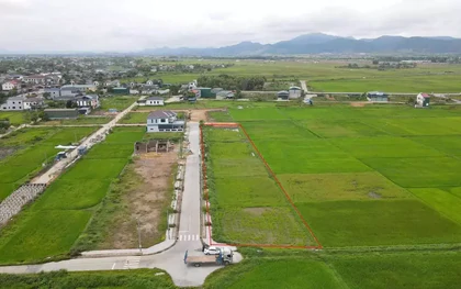 Sau "sốt nóng", đấu giá đất vùng quê trầm lắng, nhiều nơi "trắng hồ sơ"