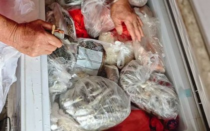 Lời khuyên cho những gia đình thường xuyên cấp đông thực phẩm