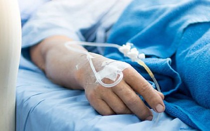 Đang hái chè, người phụ nữ bị con vật màu trắng cắn nguy kịch