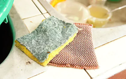Tất cả các gia đình đang dùng miếng bọt biển rửa bát xin chú ý!