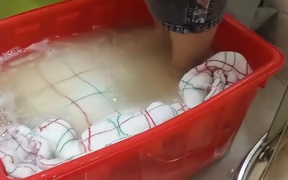 Một chiếc "chăn bông đã giặt" khiến sinh viên đại học bị cả mạng xã hội chế giễu: Đến những kiến thức cơ bản cũng không biết