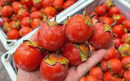 Mùa khô hanh nên ăn gì? 3 loại trái cây quen thuộc: Vừa ngon vừa giàu dưỡng chất