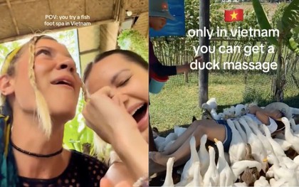 Khách Tây đi massage vịt, cá ở Việt Nam khen 'kỹ thuật viên rất tốt, rất hài'