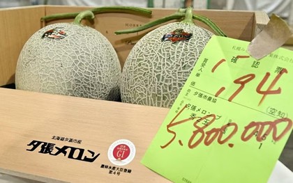 Dưa lưới gần 1 tỷ đồng/cặp có gì đặc biệt?