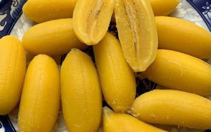 Việt Nam có 1 loại chuối rất đặc biệt: Là đặc sản Bến Tre phải luộc mới ngon, ăn vào bổ tim, khỏe đường ruột