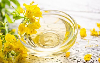 Nhiều gia đình đang dùng sai dầu ăn mỗi ngày: Dầu hạt cải có thực sự vô hại? 3 loại dầu ăn nên hạn chế để bảo vệ tim mạch