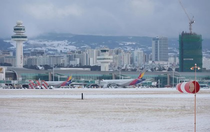 Tuyết rơi dày, 11.000 hành khách bị mắc kẹt trên đảo Jeju