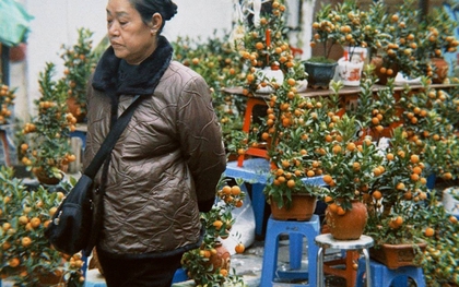 Chợ hoa cổ nhất Hà Nội ngày 23 tháng Chạp: Quất chum, quất mini "chiếm sóng", đào khủng vắng bóng, người xem nhiều hơn người mua
