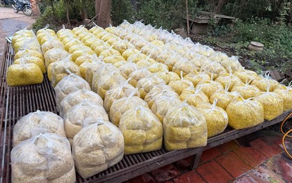 Trộn chất gây ung thư vào gần 2 tấn riềng xay bán ra chợ ở Bắc Ninh