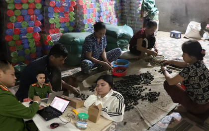 Đồng loạt khám xét 6 địa điểm ở 2 tỉnh trong chuyên án thuốc giả quy mô lớn, bắt Đoàn Thị Lam SN 1972