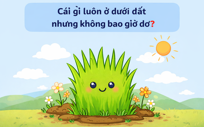 Cái gì luôn ở dưới đất nhưng không bao giờ bẩn?