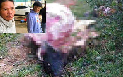 Thiếu tiền tiêu Tết, 2 thanh niên trộm trâu xẻ thịt mang bán