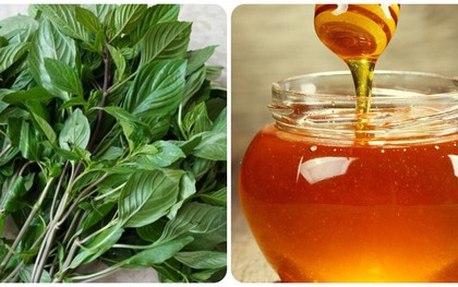 Mật ong và húng quế kết hợp với nhau có tác dụng gì?