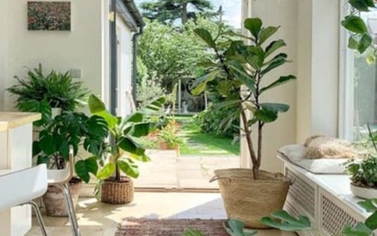 3 dấu hiệu chứng tỏ ngôi nhà của bạn đang có phúc khí, càng ở càng có lộc, đừng dại bán đi