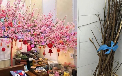 Miền Bắc lúc này: Đào chưa kịp Tết đã bung hết hoa, cả cõi mạng xin nhau tips “hoãn lại cái sự xinh đẹp ấy”