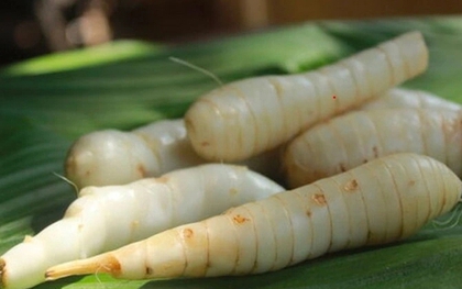 Củ dong riềng tưởng chỉ để ăn cho ấm bụng, hóa ra lại giúp xương chắc, mắt khỏe, đề kháng tốt hơn