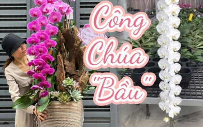 Tự nhiên Tết năm nay, người ta lại thi nhau mua một loại hoa có cái tên cực mỹ miều đi biếu tặng, vừa có gu vừa tinh tế