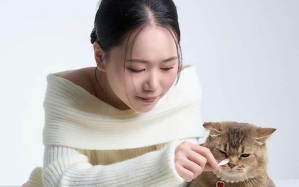 Khách sạn chó mèo "cháy phòng" dịp Tết , chủ chi tiền triệu gửi thú cưng