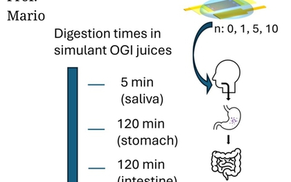 Thiết bị điện tử có thể... ăn được