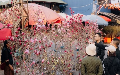 Miền Bắc 'nắng gắt' ngày 28 Tết