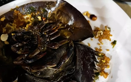 3 người bị nhiễm độc sau khi ăn sam tại quán ốc ở Cà Mau