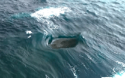 Con sóng "điên rồ" đến mức vô lý ở Tây Úc