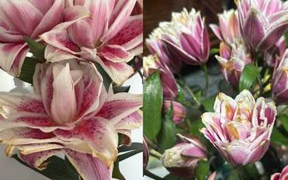 "Kiếp nạn" cắm hoa ly kép ngày Tết: 3 năm đều bị cháy cánh tịt ngòi, hội chị em bóc trần nguyên nhân và hiến kế chọn hoa bất bại