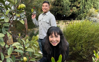 Nữ NSND tuổi ngựa cưới tài tử điện ảnh lừng lẫy, sở hữu biệt thự hoành tráng giữa trung tâm TP. Hồ Chí Minh