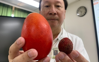 1 thứ trên người nam thanh niên đang bé như quả vải bỗng to như quả xoài, phát hiện ung thư tinh hoàn dù KHÔNG đau, KHÔNG ngứa