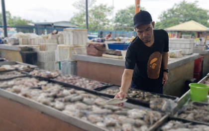 Bé gái nhận nhầm người bán cá là bố, về nhà kể lại khiến cả gia đình bàng hoàng, bí mật chôn vùi 42 năm bị hé lộ