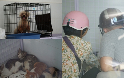 Cảnh tượng không tưởng ở Công an phường Tân Hưng: Người dân liên tục tìm đến nhận diện chó mèo bị mất, chuyện gì vậy?