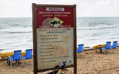 Cậu bé 13 tuổi bị cá mập tấn công tử vong tại một địa điểm du lịch nổi tiếng