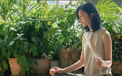 Người càng thông minh càng “lạnh”: 3 việc không quản, 4 điều không nói, 5 kiểu không giúp để sống nhẹ đầu, bền phúc