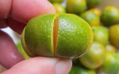 Loại quả là “báu vật" ngày Tết, đi chợ thấy bỏ qua quá phí