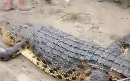 Mổ bụng cá sấu, người dân sốc nặng khi tìm thấy thứ bên trong