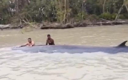 Đi đánh cá, ngư dân phát hiện thứ khổng lồ dài 15 mét nổi trên sông